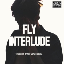 Fly Interlude iSw3ar