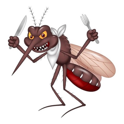 Arewatunez - Mosquito