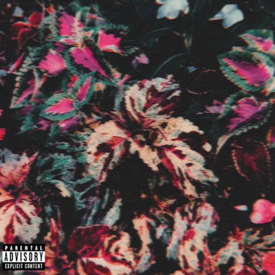 For Your Love (feat. Tre Rah) - Single