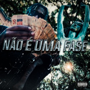 Não É Uma Fase