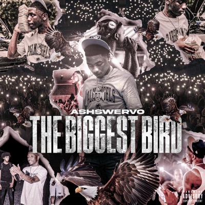THE BIGGEST BIRD