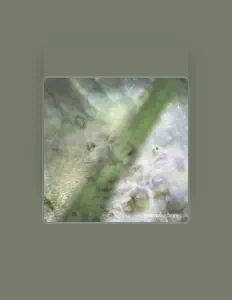 ISA सुनें, म्यूज़िक वीडियो देखें, बायो पढ़ें, दौरे की तारीखें और बहुत कुछ देखें!