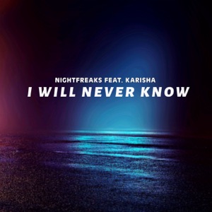 I Will Never Know (feat. Karisha) - Single