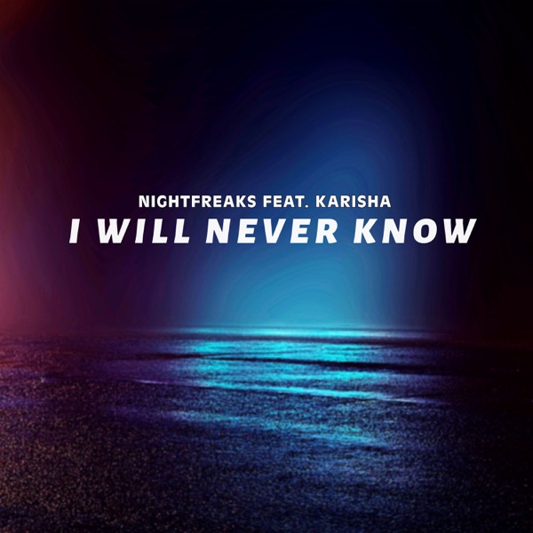 I Will Never Know (feat. Karisha) - Single
