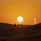 Desert Spirits Awaken