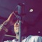 E No Clear - Shavy Nation lyrics