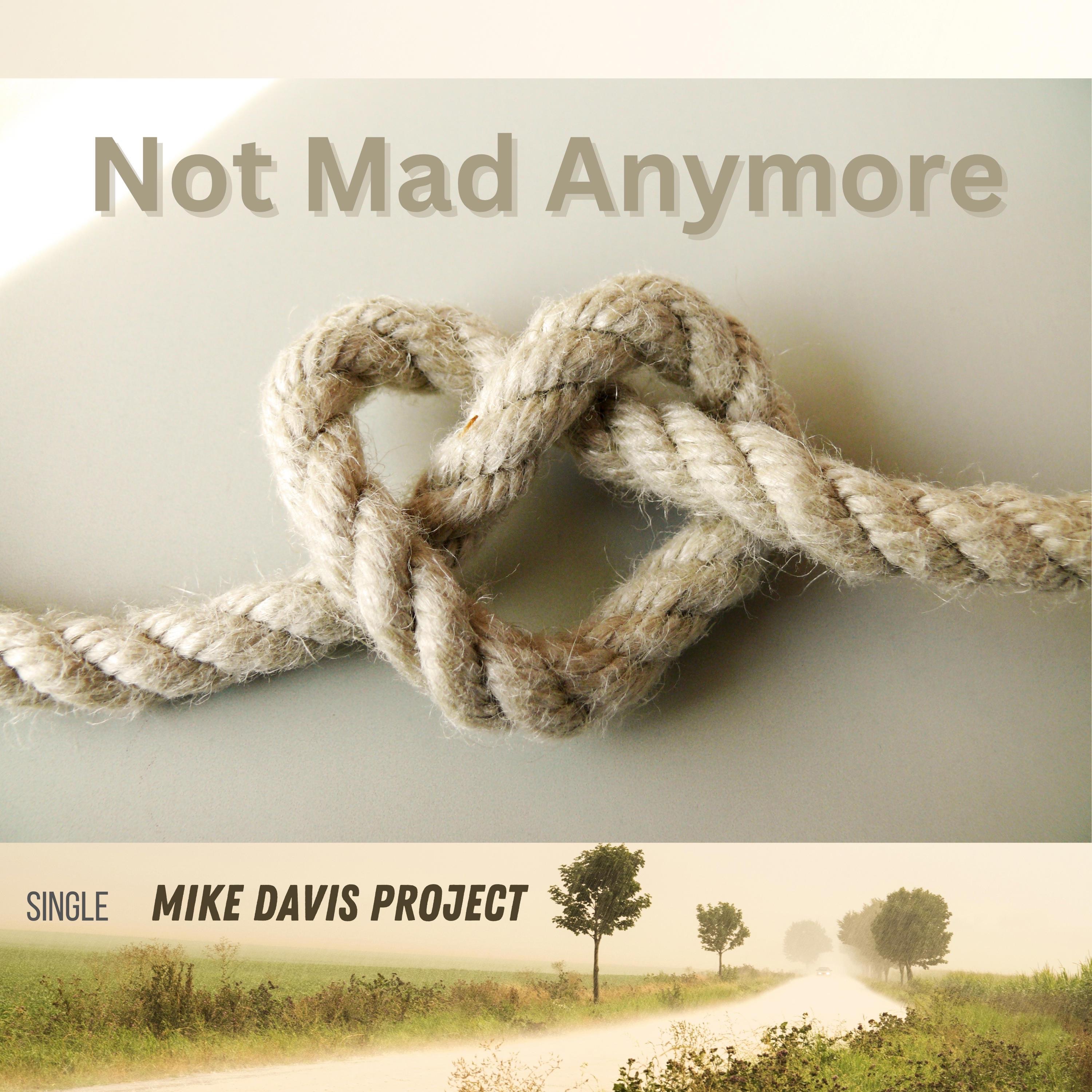 Not Mad Anymore - Single