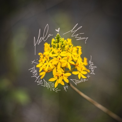 Mala Mía (feat. Dawer X Damper) - Single