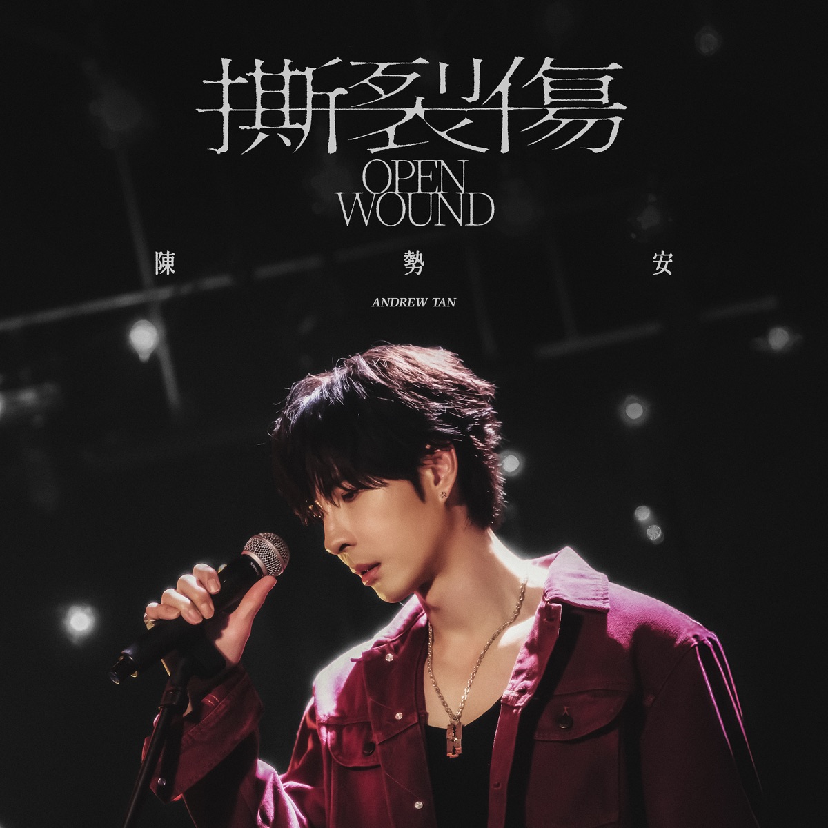 陳勢安 - 撕裂傷 - Single (2025) [iTunes Plus AAC M4A]-新房子