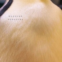 Hugging Penguins - Single - Kjell Sønksen