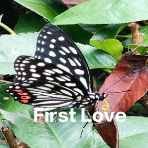 First Love