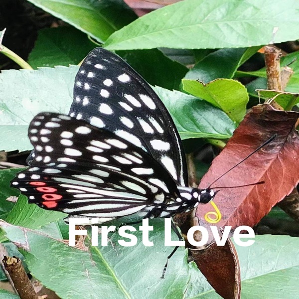 First Love