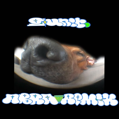 G-UNIT 4BR4 REMIX - Single