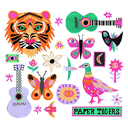Paper Tigers - State of the Union, Boo Hewerdine & Brooks Williams