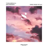 Dried Rose Petals — Thom Merlin & Sam Rendina