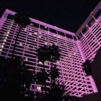 midnight - Single - Swxzzy