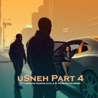 uSneh, Pt. 4 (feat. Leeman Uzokdlalela & Team Phakamisa) - Single - Abangani Bethu
