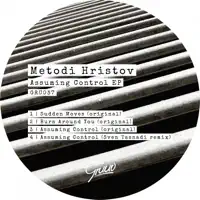 Assuming Control — Metodi Hristov