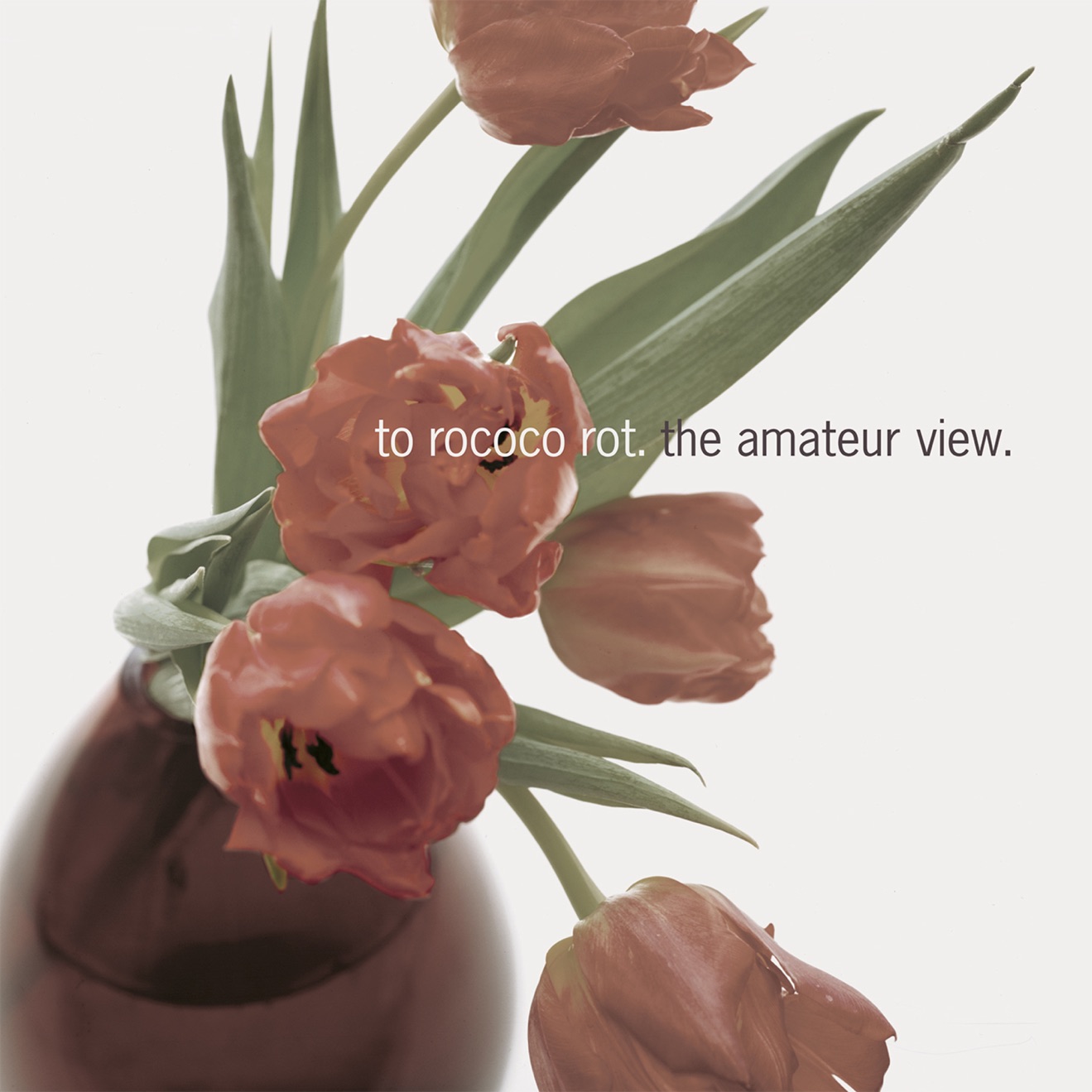 To Rococo Rot – The Amateur View (Expanded Edition 2025) (2025) [iTunes Match M4A]