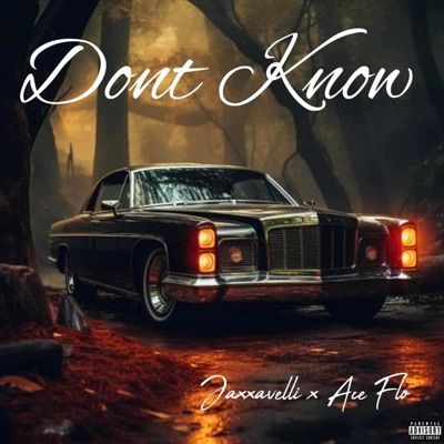 DON'T KNOW ('15) (feat. Jaxxavelli) - Single