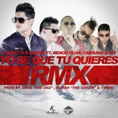 Yo Se Que Tu Quieres (feat. Opi the Hit Machine) artwork
