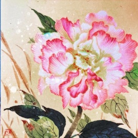 aroma aerodynamisme & Muddyoush