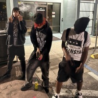 Lil Fry (feat. Reddglk) - Single - Saintana