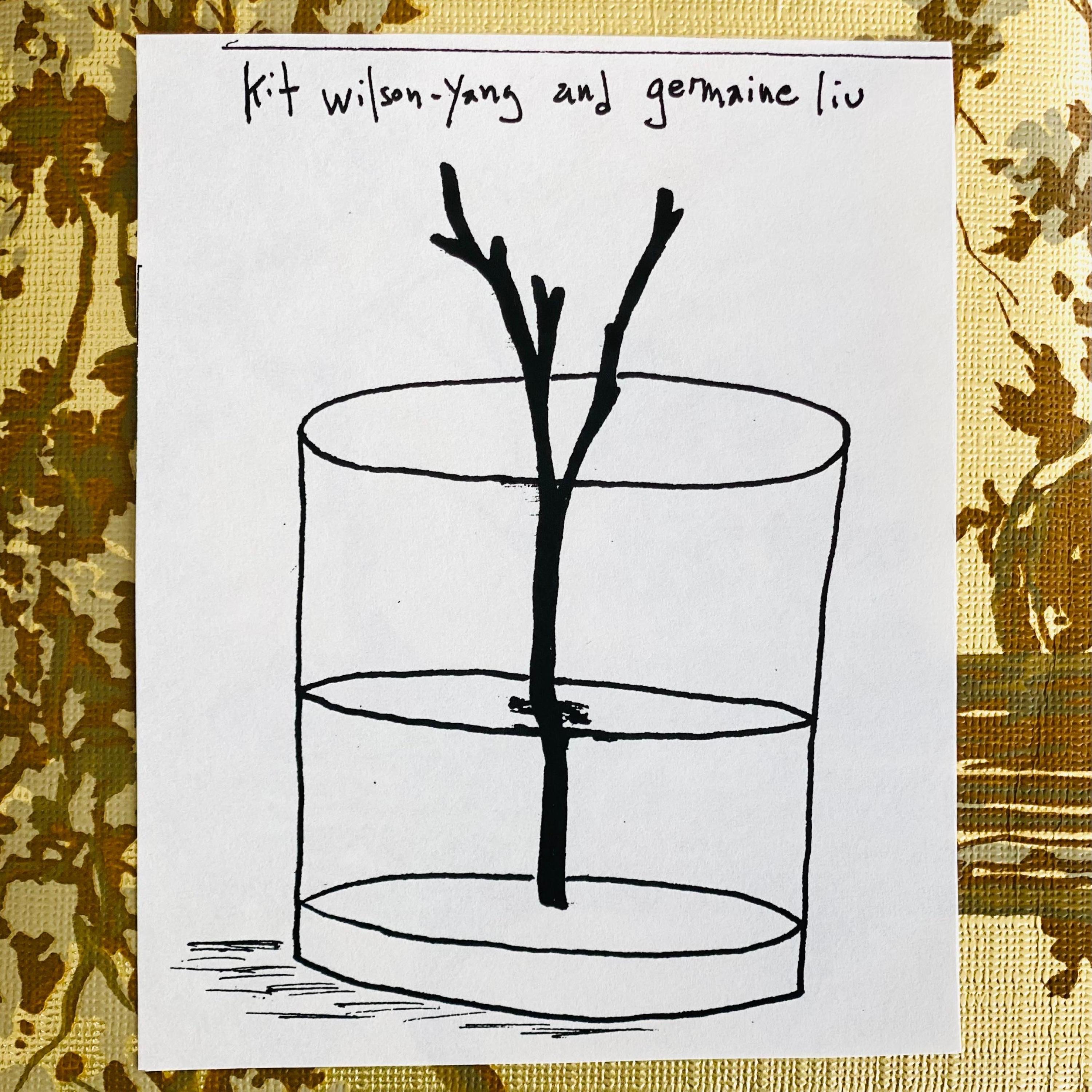 kit wilson-yang & germaine liu