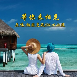 等你来相见 (DJ对唱版) - Single