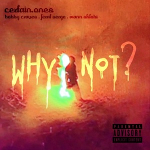Why Not? (feat. Bobby Craves, Feral Serge & Wann Sklobi)