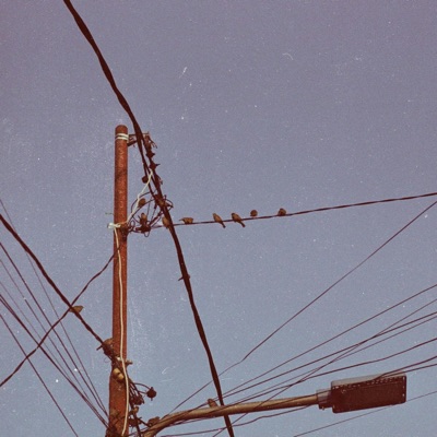 family's doing fine. (feat. Gora & Bayb Rio) - Single