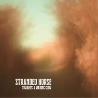Towards a waning glow — Stranded Horse