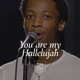 You are my Hallelujah Single