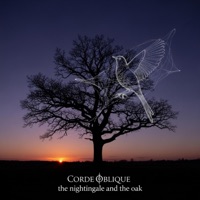 The nightingale and the oak (feat. Fulci) - Single - Corde Oblique
