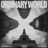 Icon Ordinary World - Single