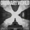 Ordinary World 