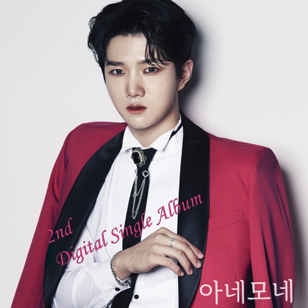 아네모네 - Single