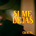 SI ME DEJAS