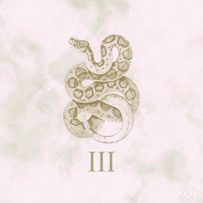 Peter Playa - Single