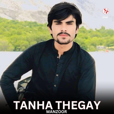 Tanha Thegay (feat. Manzoor) - Single