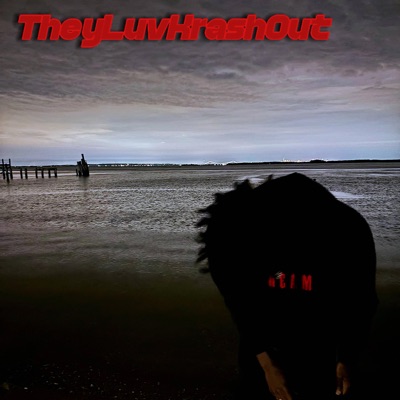 TheyLuvKrashOut - Single