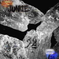 JUNKIE - Single - ROSE FROM THE ASH