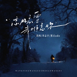 忘风忘雪我难忘你 - Single