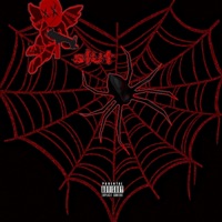 Tumblr - Single - Burni