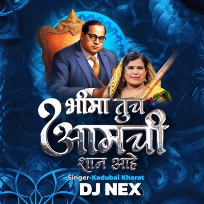 Bhima Tuch Aamchi Shaan Aahe (Kadubai Kharat Dj Song DJ Nex) - Single