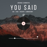You Said (feat. IBK, Anu, Reigny & Lamboginny) - Single - Joshua Ejorheya