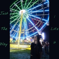 Just The Way I Like It - Single - Ashlee Tha Answer