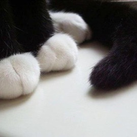 stuck in love (feat. life) rewind