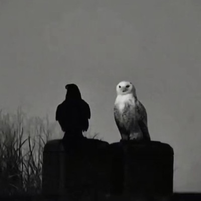 standing in the rain (feat. Project Kyra) - Single