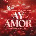 Ay Amor